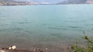 Чарвакское водохранилище отдых, лето)