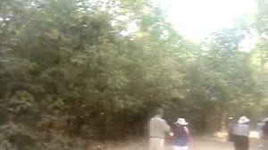 Cambodia Bayon Temple - a morning walk