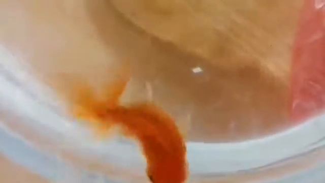 #goldfish Пожелай себе желание! #ЗолотаяРыбка