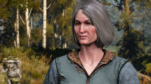 The Witcher 3: Wild Hunt - Complete Edition ▶ Защитник веры