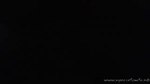 Крик совы. Как кричит сова