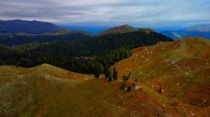 Джип-тур на вершину горы Мамзышха  АБХАЗИЯ  Альпийские луга