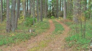 Быковщинское озеро