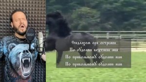 Роман Бобров - Древнеславянский кавер Конь   Любэ