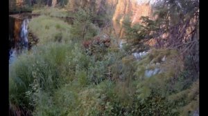 "Возвращение к мечте" ч1. Рыбалка в Карелии, таежная река где есть хариус и кумжа. Поймаем?