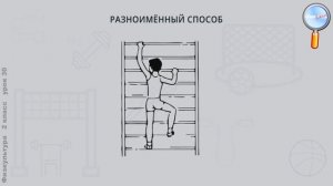 Физическая культура 2 класс (Урок№30 - Лазание по гимнастической стенке.)