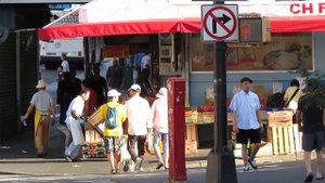 Canon Powershot sx500 photo & video test - the smallest power zoom bridge camera in the world