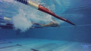 КАК ПРАВИЛЬНО ДЫШАТЬ В БАТТЕРФЛЯЕ?. УРОК 4. УРОКИ БАТТЕРФЛЯЯ @ Swimmate.ru