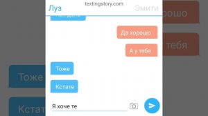 переписка луз и эмити 2