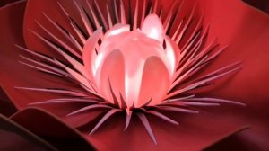 Анемон и Мак из изолона ?