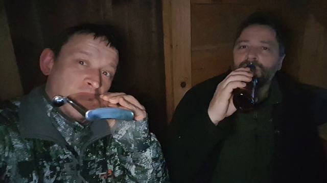 Охота с арбалетом на благородного оленя