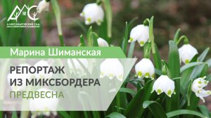 Репортаж из миксбордера. 1. Предвесна