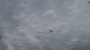 Геоглифы. Новокубанск, 2009[1]