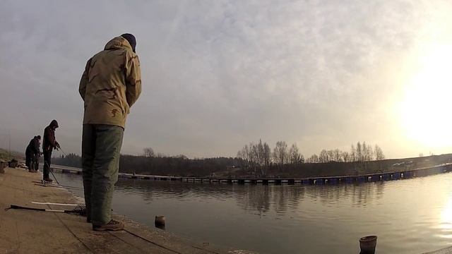 V Турнир по спортивной ловле форели на спиннинг смотреть онлайн