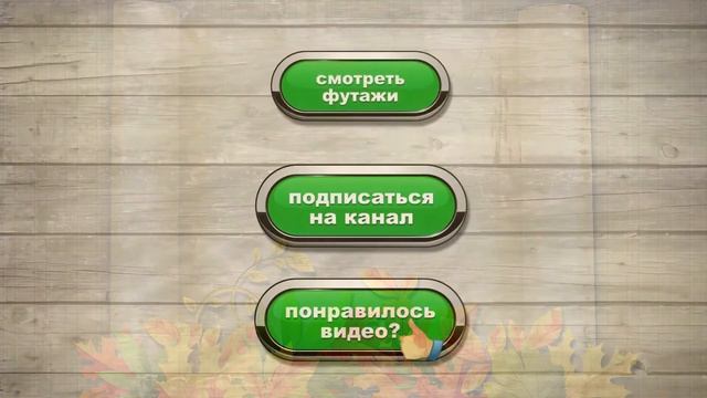 ✜Бесплатный осенний футаж-9    #осеннийфутаж смотреть онлайн