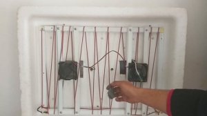 Как эффективно улучшить инкубатор "Несушка"