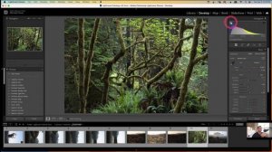 Master LIGHTROOM in 2020: A Complete TRAINING COURSE for Beginners!