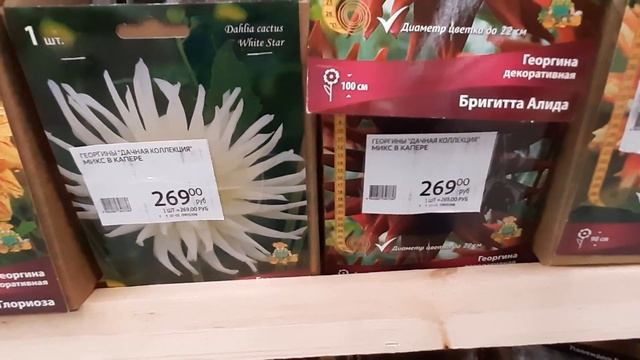 АШАН . Лилии/Лилейники/Ирисы/ЛУК/Георгины, грунт, торфяные горшочки/ Виноград смотреть онлайн