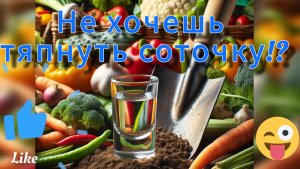 Песня на дачную тему. Не хочешь тяпнуть соточку? Стихи А. Казаков, музыка и вокал нейросеть SUNO