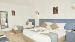 Отели Египта.Sunrise Select Royal Makadi Resort 5*.Хургада.Обзор