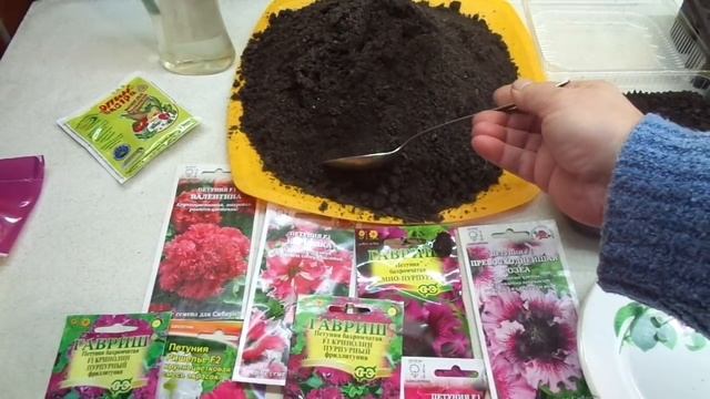 ПЕТУНИЯ. ГОТОВЛЮ ГРУНТ ДЛЯ ПОСЕВА. Ольга Чернова. смотреть онлайн