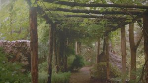 Гинкго Парк. Первый частный ботанический сад от проекта "Парки Толоконникова". г. Новочеркасск