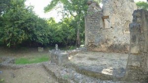 Кения, Малинди. Одна в Африке.