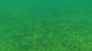 Подводная охота на Ангаре