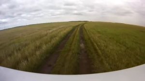 Поиски большого соленого озера в Кулундинской степи. Июль 2014