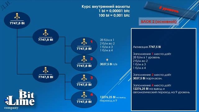 Обзор программы BitLime. Как заработать в 2022 году?