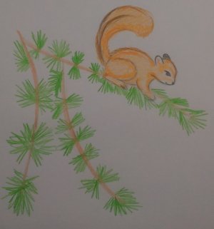 Как нарисовать белку на ели \\ белка рисунок