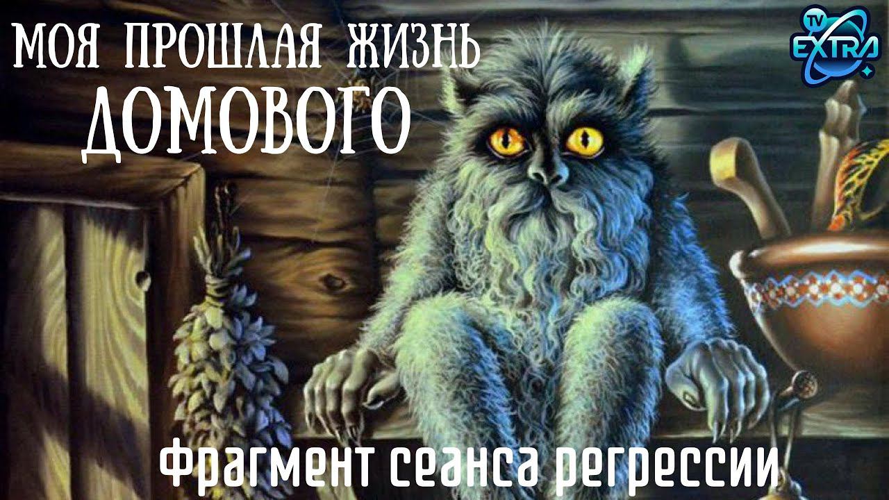 Жизнь домового | Фрагмент сеанса регрессии