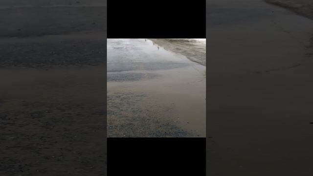 Весна пришла на Сахалин???
