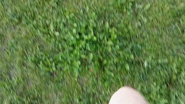 Познакомилась с Иваном и Николаем,сказка смотреть онлайн