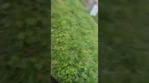 Переход с 142 км на Поваровку. Ремонт на Поваровке