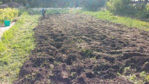 Мотоблок Sturm (Штурм) прошёл 4 ряда вспашки, пашет глубоко, 7 лошадиных сил, удерживать силой надо