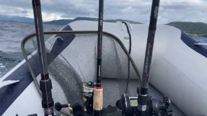 Honwave T35 AE3 +  Honda BF15