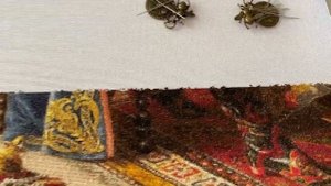 Продвижение Процесса вышивки "Дорогой Гость" от фирмы Эстэ. Показ №2.