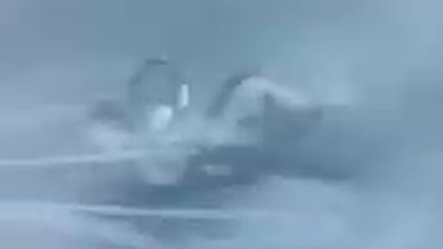 кабан я белка прием.avi смотреть онлайн