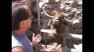 1000015282.mp4