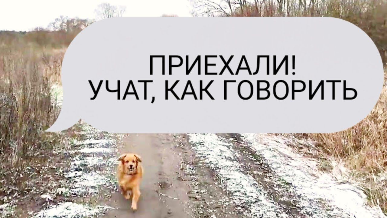 Приехали! Меня учат, как говорить.. и правильно делают! смотреть онлайн