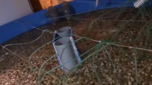 ответы на вопросы по новому узв