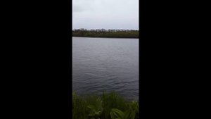 МИФ - разрушен. Авача - чавыча - ультра лайт