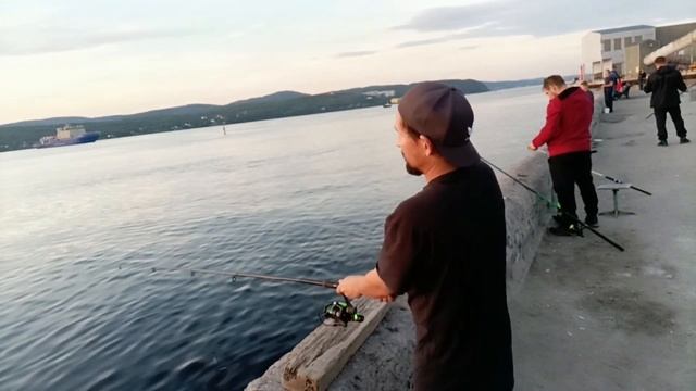 Кольский залив рыбалка Мурманск 1кг за 10шт смотреть онлайн