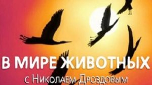 В мире животных с Николаем Дроздовым 2005 г Выпуск - 3