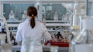 Эстония самая богатая страна бывшего СССР. Интересные факты о стране