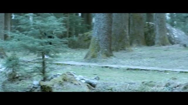 Супер мотивация для девушек. Женский бокс. Мэри Ком.