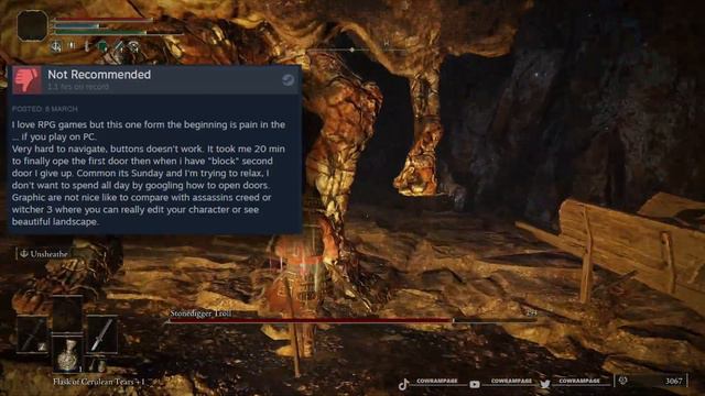 Reading NEGATATIVE Elden Ring Steam Reviews