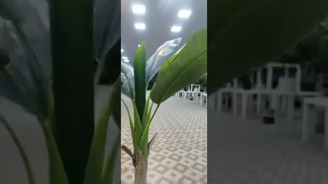 Банановая пальма | Искусственные деревья | ОБЗОР смотреть онлайн