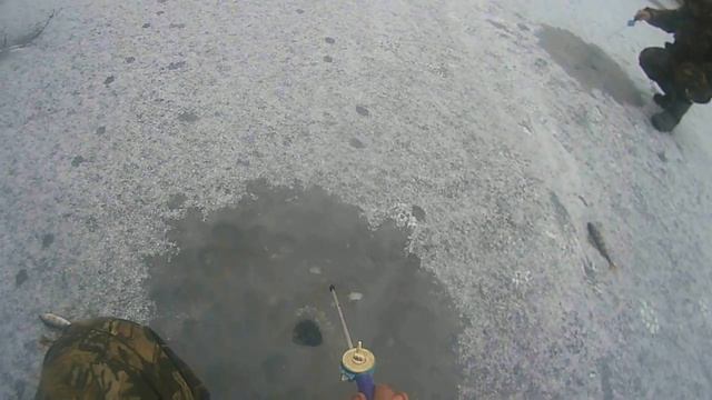 алексеевский пруд